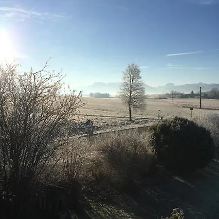 Bella Vista